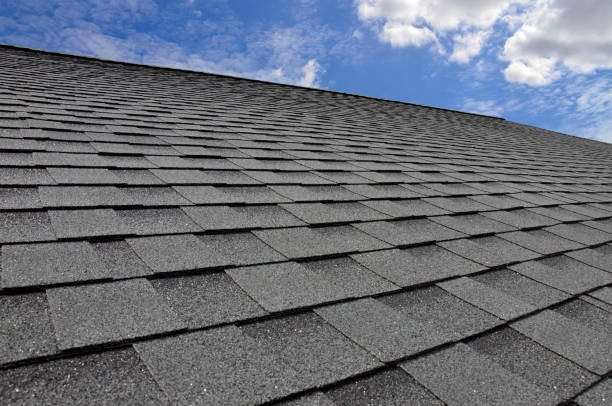 Best Roof Insulation Installation  in Tangent, OR